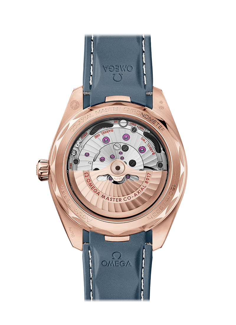 Omega Seamaster Sedna or Montre Chronomètre 220.52.41.21.03.002 – Image 2